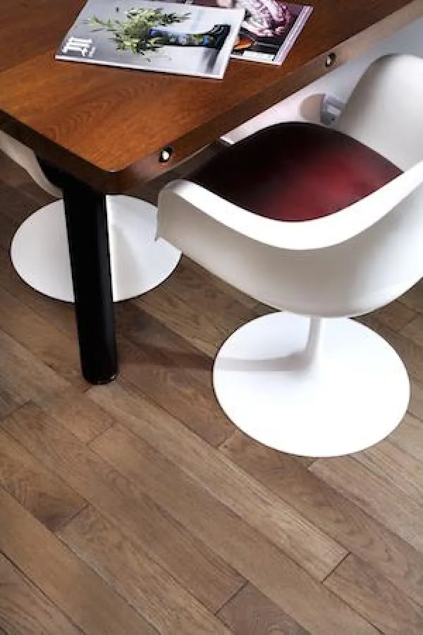 Foto: chêne de l'est