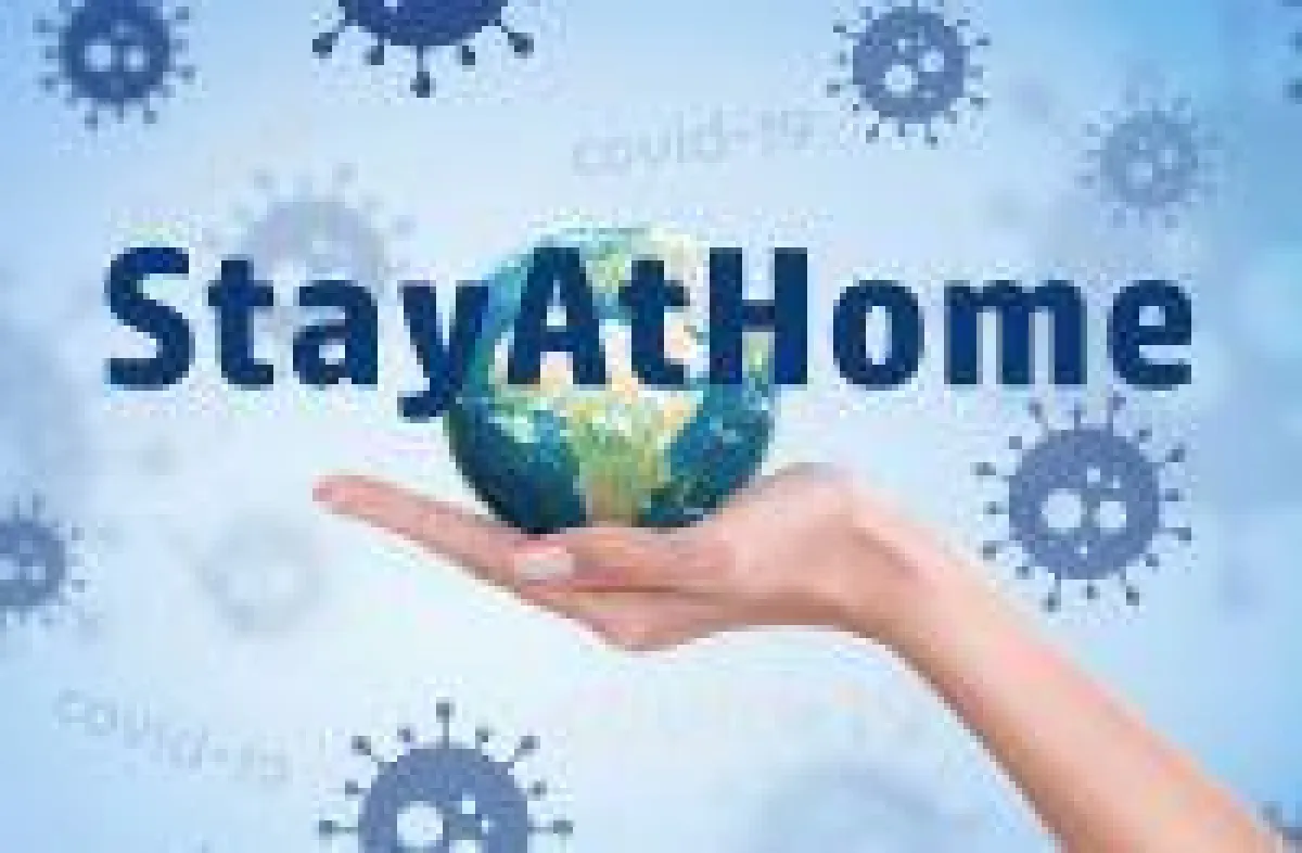 Schwierig bei einem Umzug