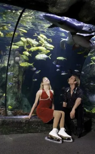 Traumpaar unter Wasser und auf dem Eis: Tanja Szewczenko und Norman Jeschke zu Gast bei Holiday on Ice Bild: Traumpaar unter Wasser und auf dem Eis: Tanja Szewczenko und Norman Jeschke zu Gast bei Holiday on Ice