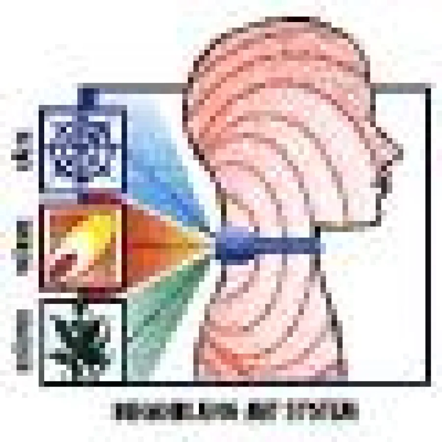 Quelle: www.orwena.de