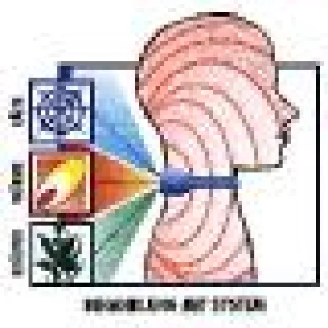 Bild: Die Kopfschmerzen auf Eis legen