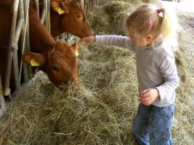 Bild: Schwarzwälder Familienglück