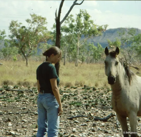 Bild: Gefährte Pferd - ein Reisebericht in die Welt der Pferde