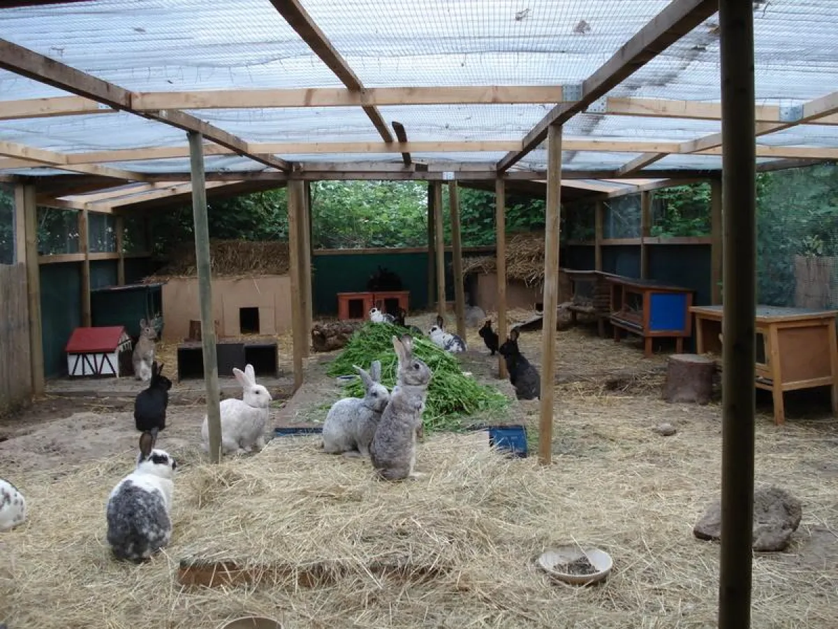 Das große Gehege der Kaninchenpflegestation in Rosbach v.d.H.