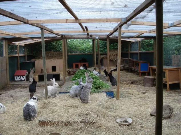 Bild: Tierhilfefond Kaninchenrettung e.V.: Zukunft spenden, Kaninchenretter werden