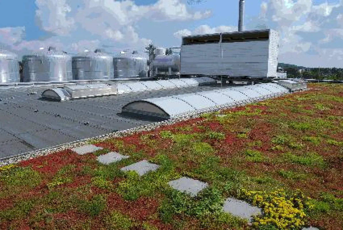Bauder bietet Bauder fürs Dach alle Materialien zum Dichten, Dämmen, Begrünen und Energie gewinnen.