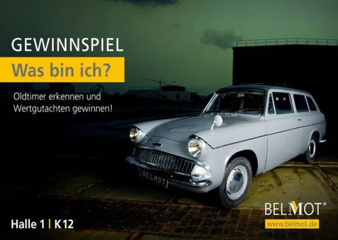 Bild: Sag mir, was ich bin und Du gewinnst ein Wertgutachten