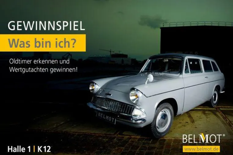Sag mir, was ich bin und Du gewinnst ein Wertgutachten Bild: Sag mir, was ich bin und Du gewinnst ein Wertgutachten