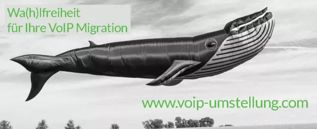 In 5 Schritten weg von ISDN und hin zu kostengünstiger IP Telefonie Bild: In 5 Schritten weg von ISDN und hin zu kostengünstiger IP Telefonie
