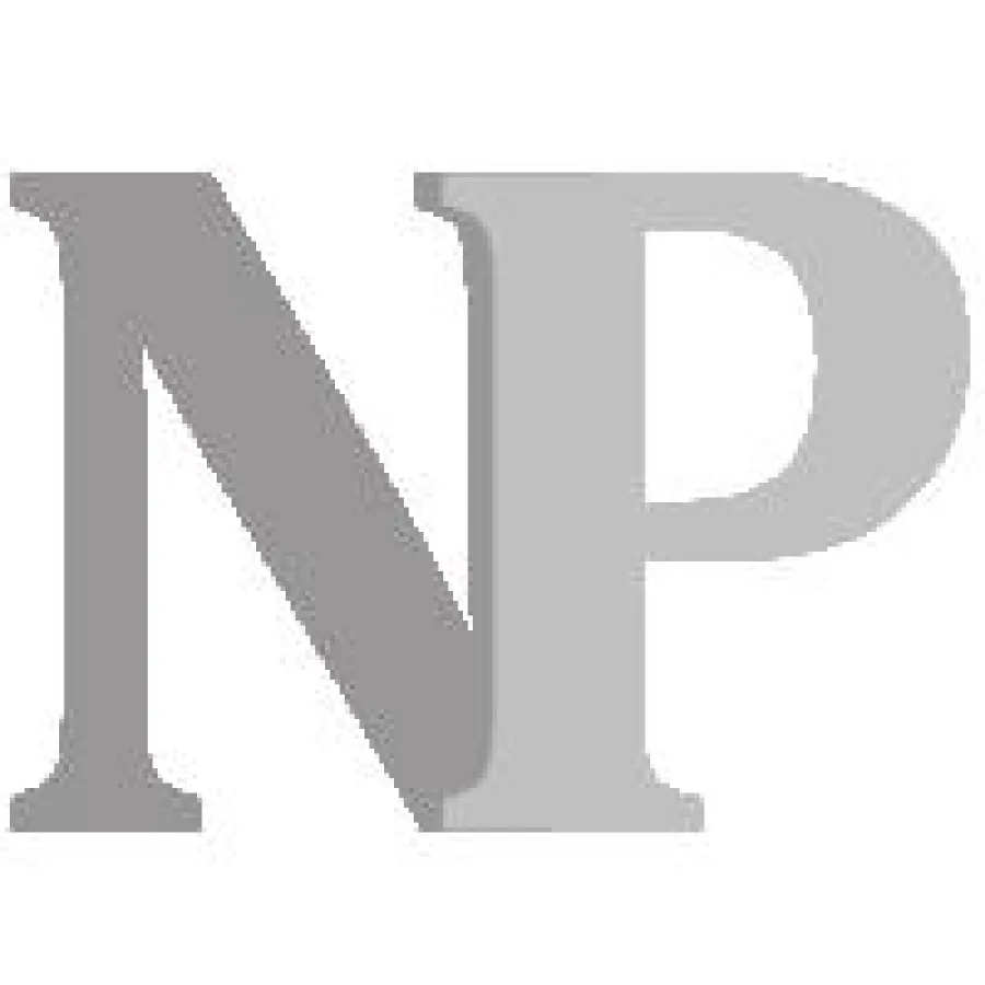 Logo Null Papier Verlag