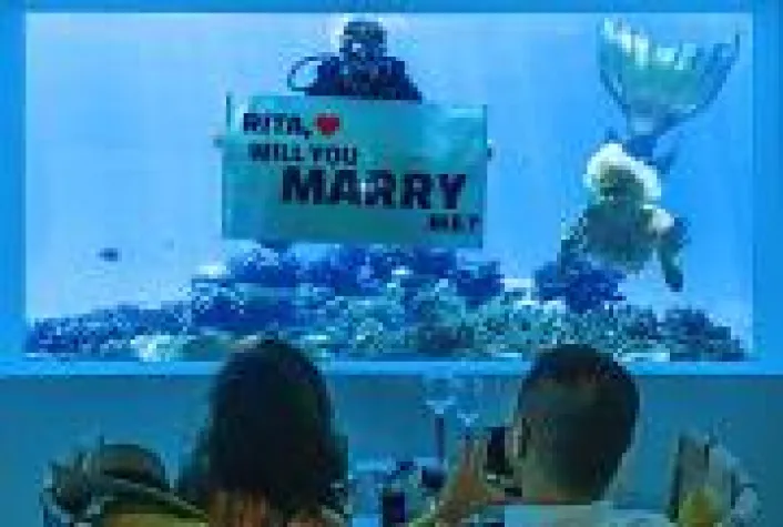 Bild: Mit Atmosphere Hotels & Resorts einen kreativen Heiratsantrag machen