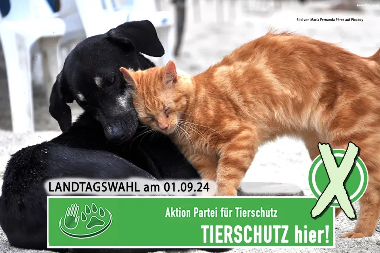Bild: Landtagswahl in Thüringen - Tierschutz ist wählbar!