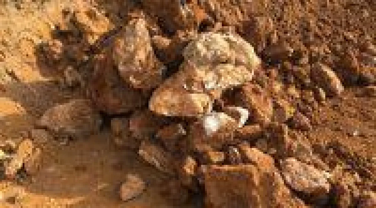 Hochgradiges Zinkerz; Foto: Pasinex Resources
