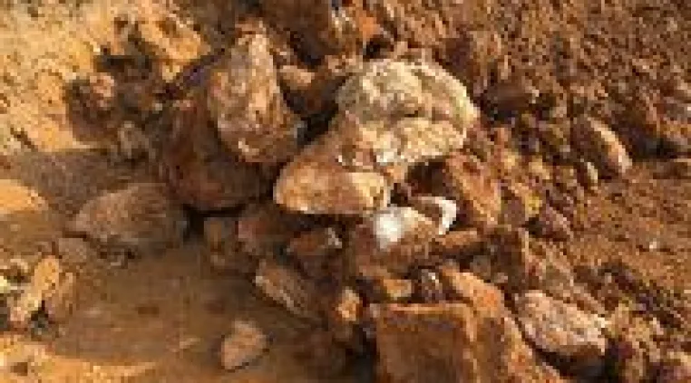 Neue Untersuchung: Zinkdefizit steigt um 30% Bild: Neue Untersuchung: Zinkdefizit steigt um 30%