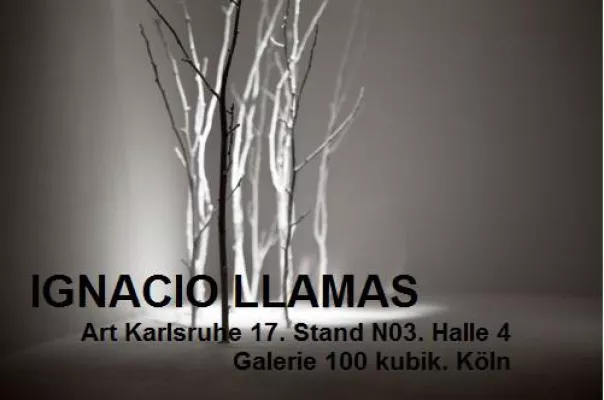 Bild: Galerie 100 kubik @art KARLSRUHE 2017 – Ignacio Llamas