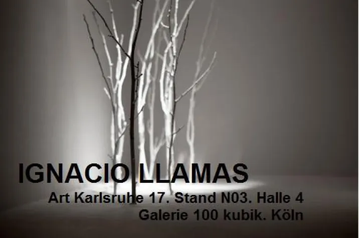 Bild: Galerie 100 kubik @art KARLSRUHE 2017 – Ignacio Llamas