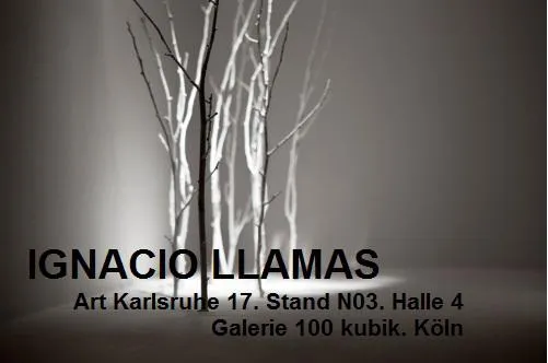 Bild: Galerie 100 kubik @art KARLSRUHE 2017 – Ignacio Llamas