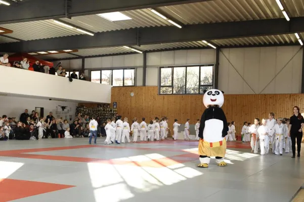 Bild: Ein heißes Turnier für coole Karateka