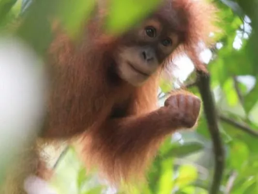 Bild: Mit Kaffee Gutes tun