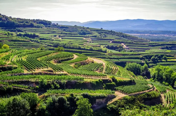 Flugreisen sind für viele langsam unerschwinglich. Dabei liegt das Schöne so nah Bild: Flugreisen sind für viele langsam unerschwinglich. Dabei liegt das Schöne so nah