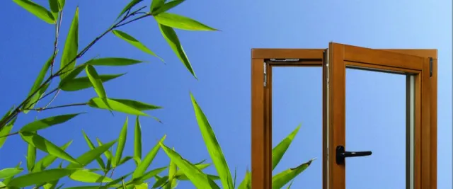 Bild: „Unsere Fenster wachsen schneller“ - Lotze & Partner Bambusprodukte GmbH entwickeln Fenster aus Bambus
