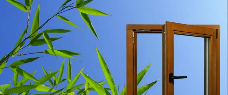 „Unsere Fenster wachsen schneller“ - Lotze & Partner Bambusprodukte GmbH entwickeln Fenster aus Bambus Bild: „Unsere Fenster wachsen schneller“ - Lotze & Partner Bambusprodukte GmbH entwickeln Fenster aus Bambus