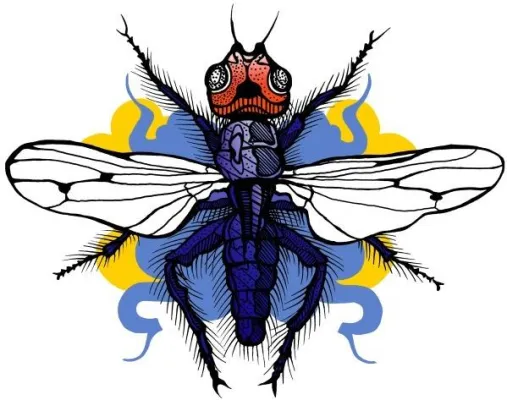 Bild: Artensterben aktuell: Die um 1850 ausgestorbene Linsenfliege wurde jetzt in Spanien wiederentdeckt