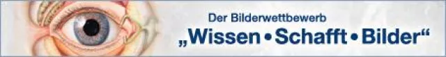 Bild: Bilder satt - \'Wissen-Schafft-Bilder\' 2006