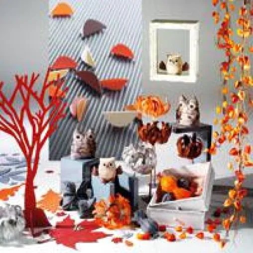 Dekospezialist Woerner - Naturnah und farbintensiv– die neuesten Herbsttrends im Blick Bild: Dekospezialist Woerner - Naturnah und farbintensiv– die neuesten Herbsttrends im Blick