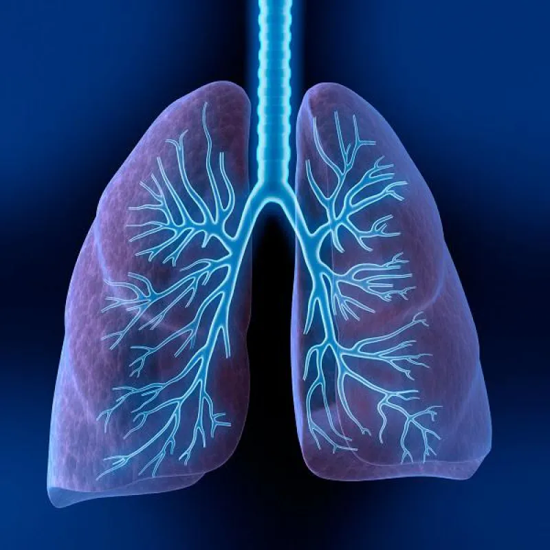 Foto: Fotolia (No. 5030)