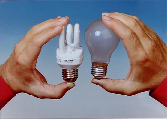 Bild: Dauertest: Große Qualitätsunterschiede bei Energiesparlampen