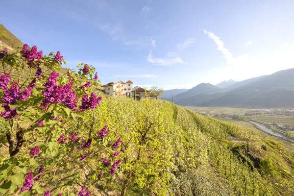 Bild: "Roter Hahn"/Südtirol: Bauernhof im Wechsel der Jahreszeiten