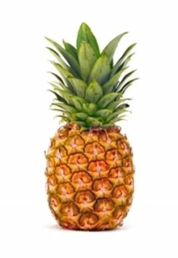 Bild: Nach der FRUIT LOGISTICA 2016 ist vor der Biofach 2016 – Kolumbien präsentiert sein Portfolio in Nürnberg