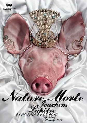 Bild: Joachim Lapôtre, Nature Morte, Fotografie