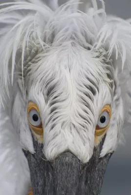 Bild: Erstmal beobachten: Fotoseminar "Tierfotografie" im Allwetterzoo Münster führt weg vom schnellen Knipsen