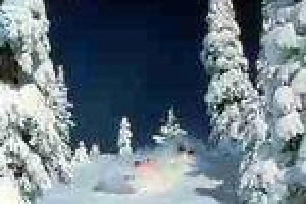 Bild: Skifahren USA