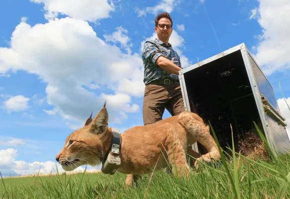 Bild: Saubere Energie trifft wilde Natur: PLAN-B NET ZERO wird offizieller Rewilding-Partner von Planet Wild