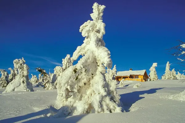 Bild: Schnee satt in Lillehammer  - Norwegen versinkt im Schnee