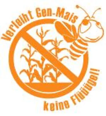 Bild: Unkalkulierbares Risiko: Genmais im Honig