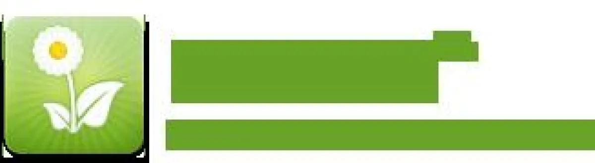 Blumella.de - Blumenversand im Vergleich