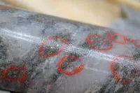 Bild: Bonterra legt wieder los: bis zu 26,7 g/t Gold pro Tonne erbohrt!