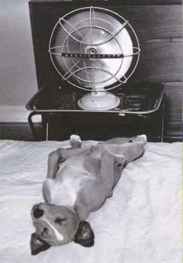 Abkühlung gefällig?