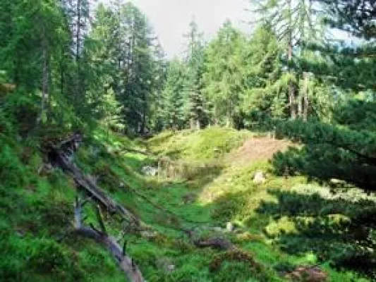 Bild: Rundreisen und Studienreisen - der tiefere Sinn