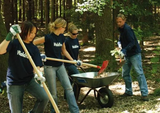 Bild: Jede Menge Kies – Hamburger Agentur STEIN rettet die Bachforelle