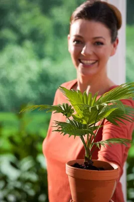 Mit Leichtigkeit zum grünen Daumen Bild: Mit Leichtigkeit zum grünen Daumen