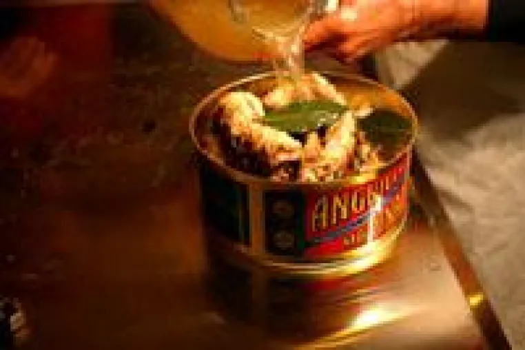 Bild: Alles Aal an der Adria