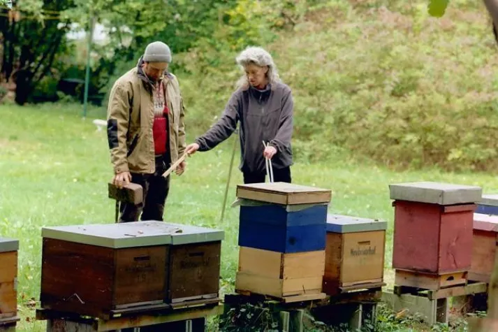 Bild: Ideale Standorte für Bäume und Bienenvölker