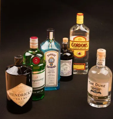 Die beliebtesten Gins in Deutschland Bild: Die beliebtesten Gins in Deutschland