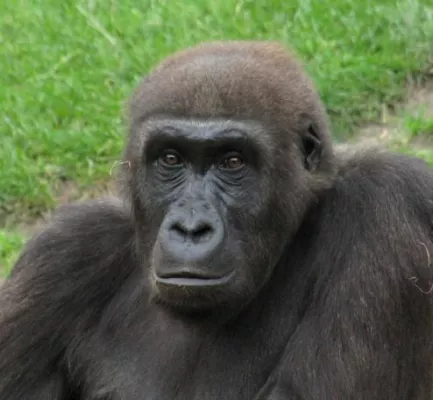 Bild: Unterwegs in Sachen Familiengründung