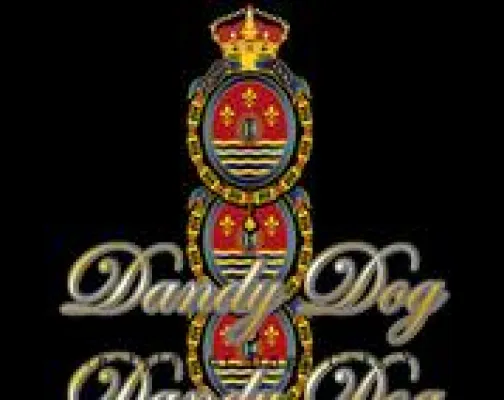 Bild: Geflügel, Reis und Kräuter: Dandy Dog setzt in der Tiernahrung auf ausgewogene Vollwertkost statt Dosenfutter